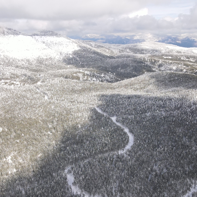 Sındırgı'da çam ormanları beyaz örtüyle kaplandı