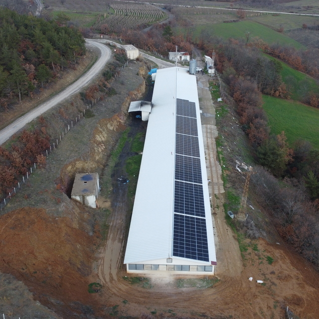 Tavuk çiftliği elektriğini devlet desteğiyle kurulan güneş santralinden sağ...