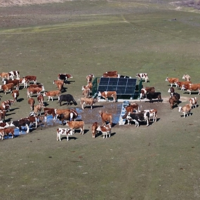 Valinin 'serçe parmak' örneği projeye dönüştü; 25 köyde güneş enerjisiyle h...