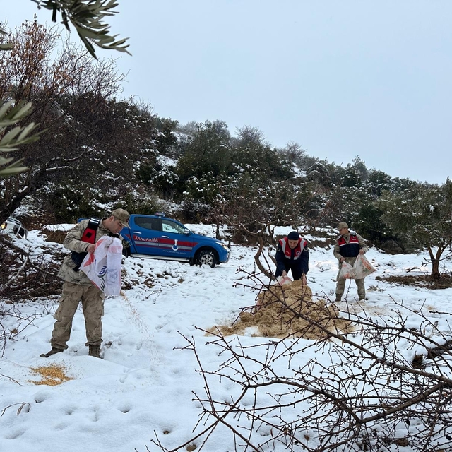Kilis'te yaban hayvanları için doğaya yem bırakıldı