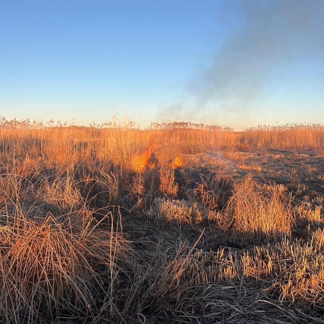 Eber Gölü'ndeki yangına ilişkin 5 şüpheliye 2 milyon 786 bin lira ceza kesi...