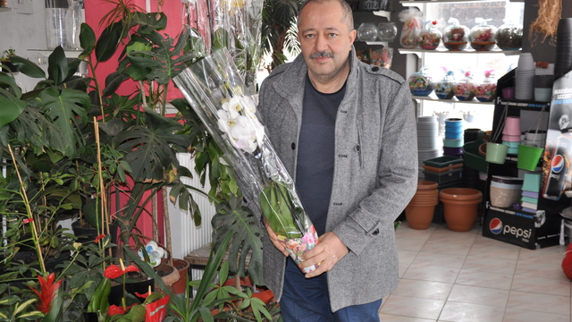 Gümüşhacıköy'de çiçekçiler 14 Şubat'a hazırlanıyor