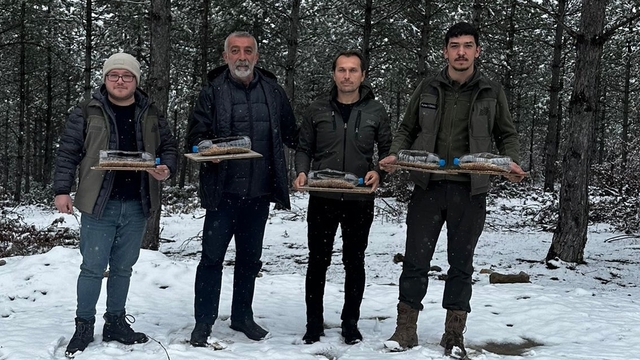 Samsun'da avcılar derneği üyeleri doğada hayvanları besledi