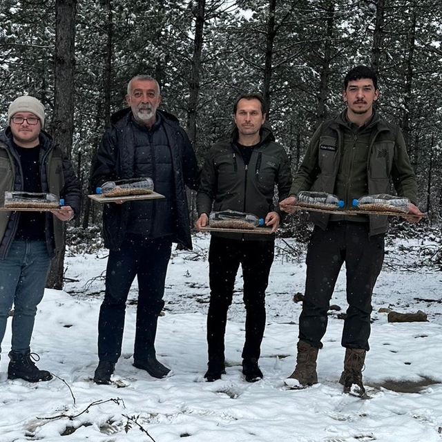 Samsun'da avcılar derneği üyeleri doğada hayvanları besledi