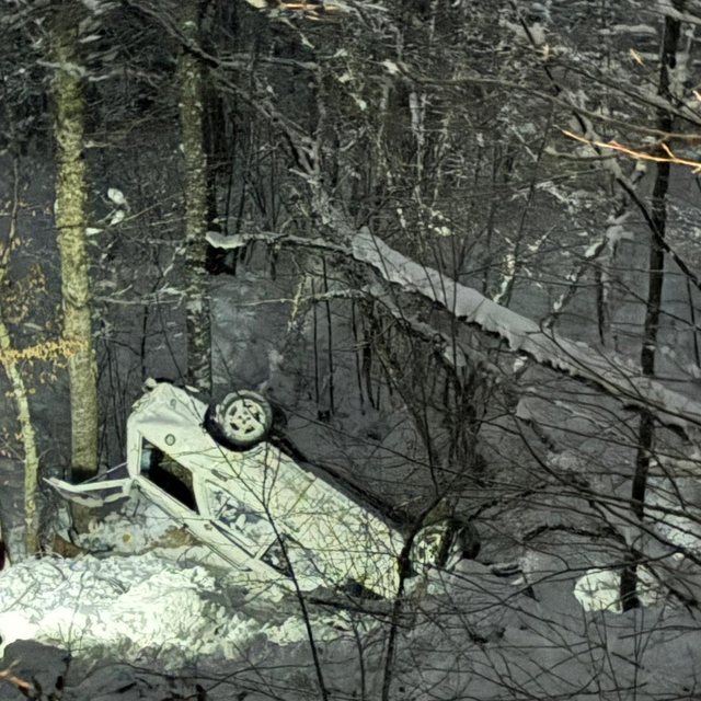 Karabük'te ağaçlığa uçan otomobildeki 5 kişi yaralandı