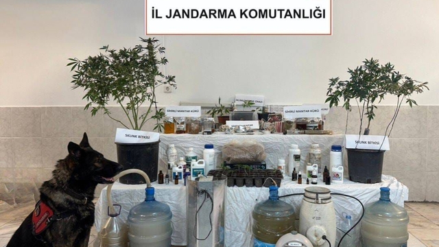 Muğla'da uyuşturucuya 1 gözaltı