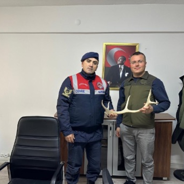 Eskişehir'de alışveriş sitesi üzerinden geyik boynuzu satmak için ilan vere...