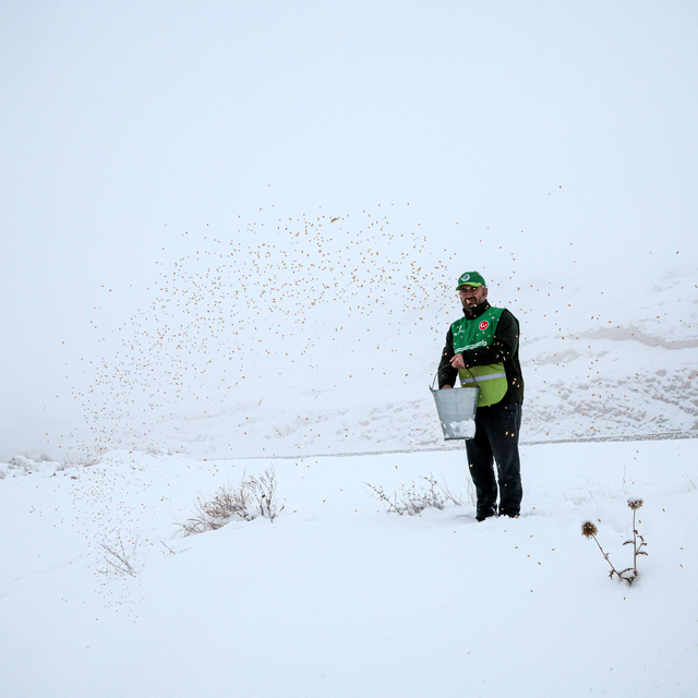 Malatya'da yaban hayvanları için doğaya yem bırakıldı