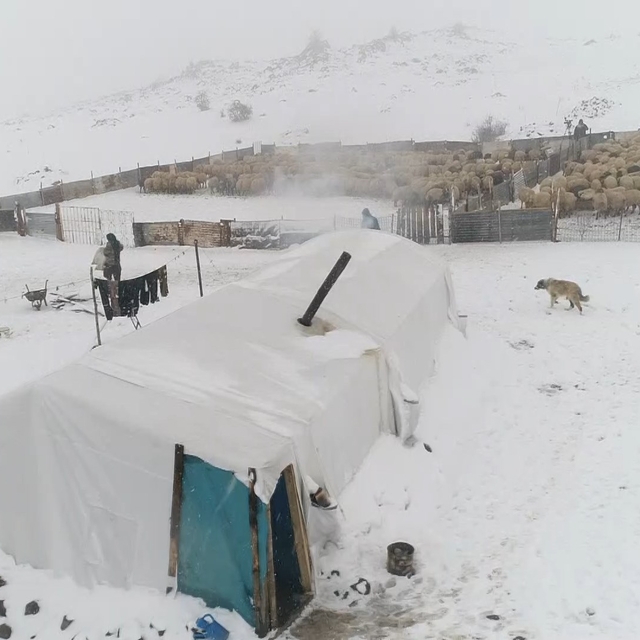 Elazığ'da, göçerlerin zorlu kış şartlarında yaşamı