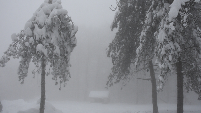 Samsun'da 1224 rakımlı Nebiyan Dağı karla kaplandı
