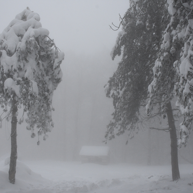 Samsun'da 1224 rakımlı Nebiyan Dağı karla kaplandı