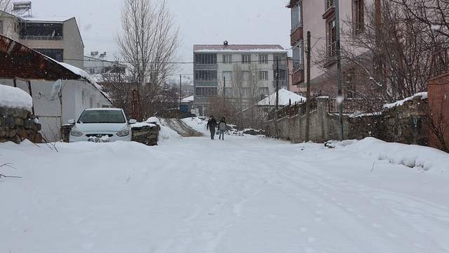 Bingöl'de 99 köy yolu kardan ulaşıma kapandı (3)