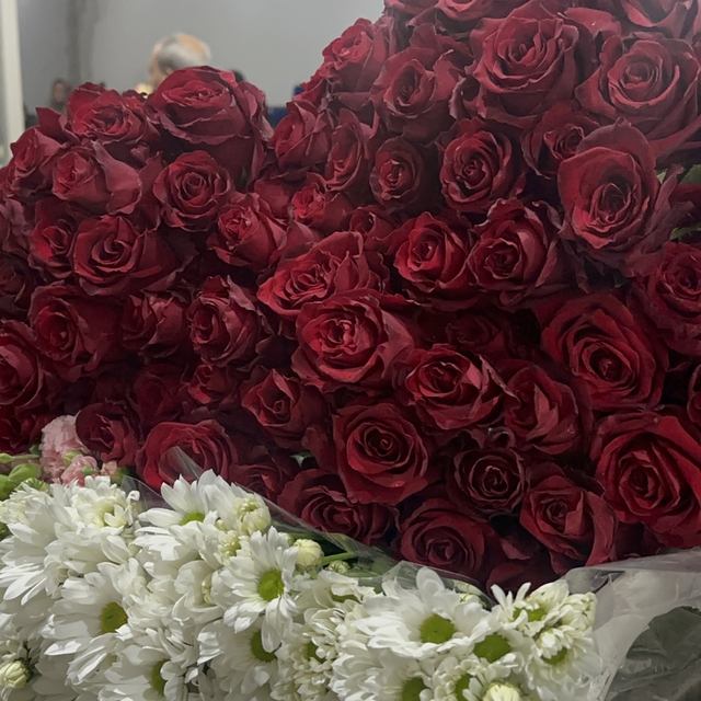 Yalova'da çiçek mezadında '14 Şubat' yoğunluğu; gül stoku biten çiçekçiler...