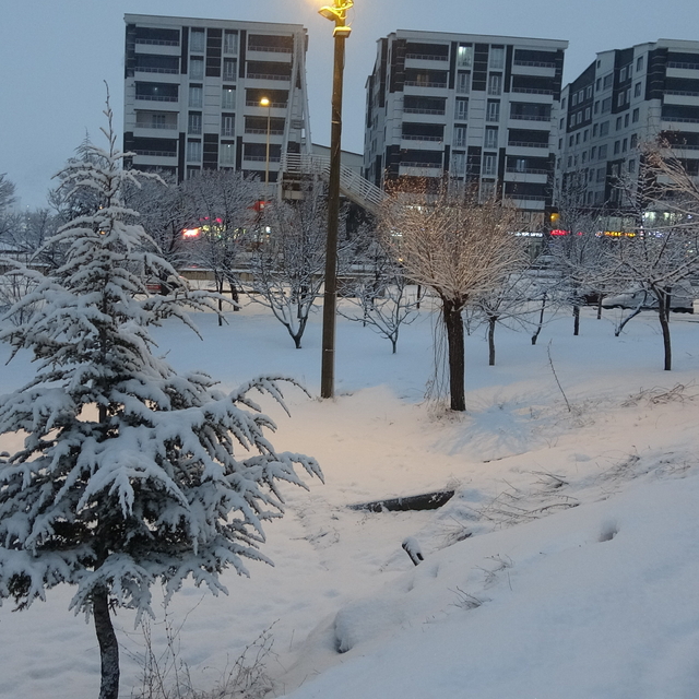 Bitlis'te kar etkili oldu