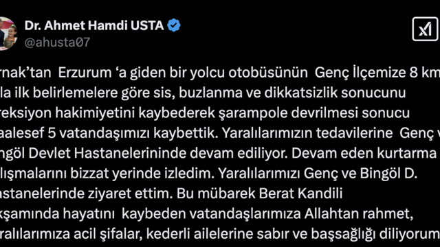 Bingöl'de yolcu otobüsü şarampole devrildi: 5 ölü, 31 yaralı (2)