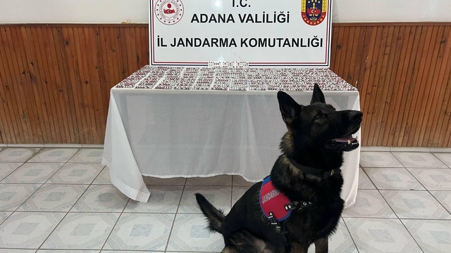Adana'da uyuşturucu operasyonunda 1 kişi gözaltına alındı