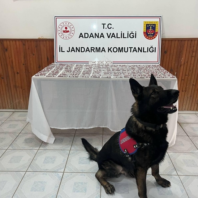 Adana'da uyuşturucu operasyonunda 1 kişi gözaltına alındı