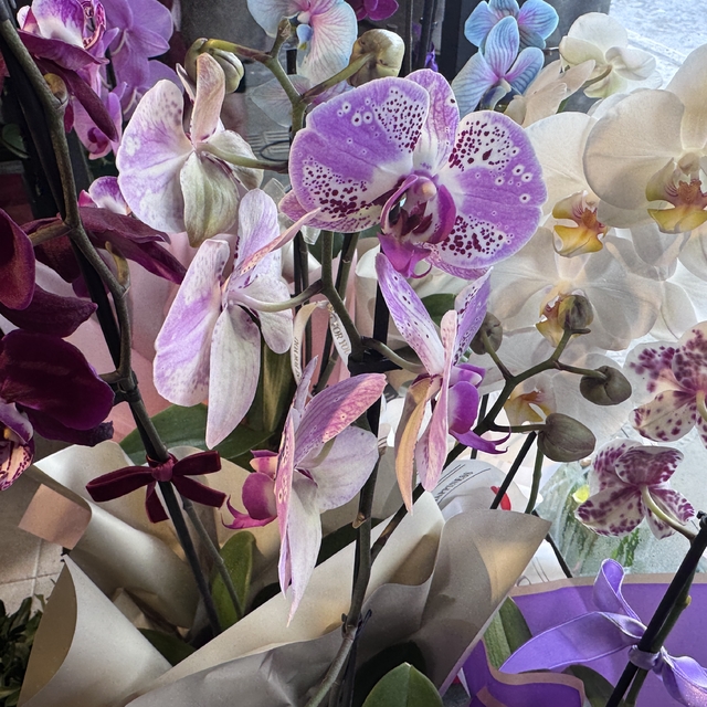 Yalovalı kadınların ürettiği çiçekler vitrinleri süslüyor