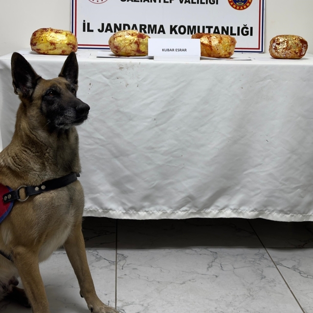 Gaziantep'te yolcu otobüsünde 3 kilo 250 gram esrar ele geçirildi