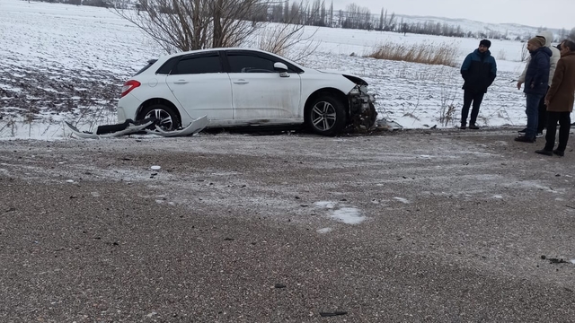 Tokat'ta ağaca çarpan otomobilin sürücüsü yaralandı