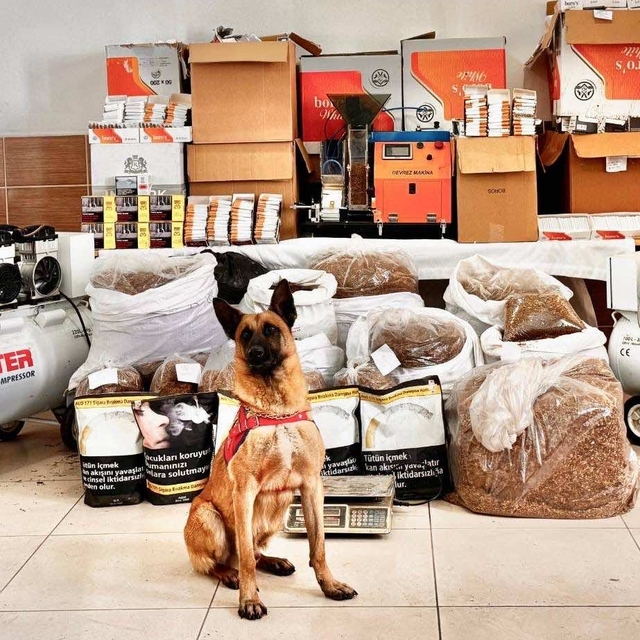 Tokat'ta kaçak telefon ve tütün operasyonunda 3 kişi yakalandı