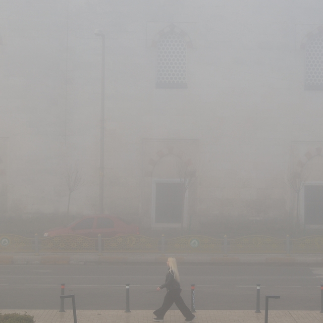 Edirne'de yoğun sis etkili oldu