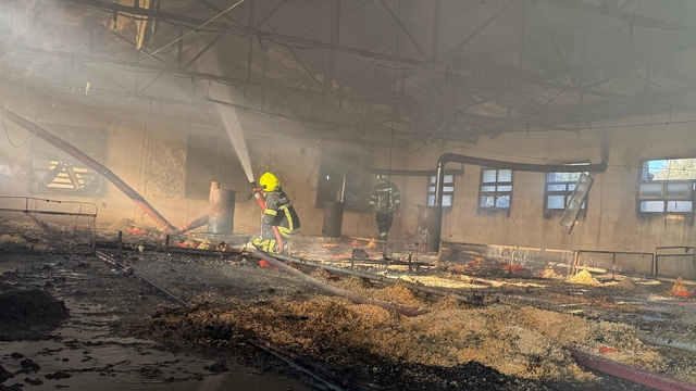 Mersin'de tavuk çiftliğinde çıkan yangın söndürüldü