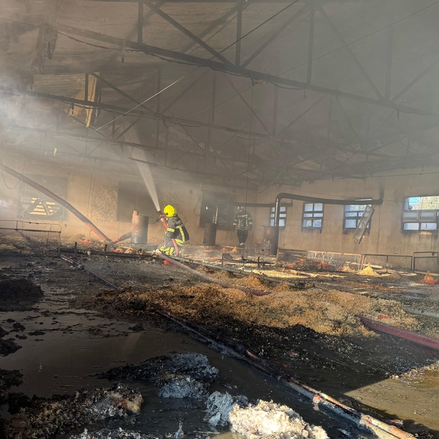 Mersin'de tavuk çiftliğinde çıkan yangın söndürüldü