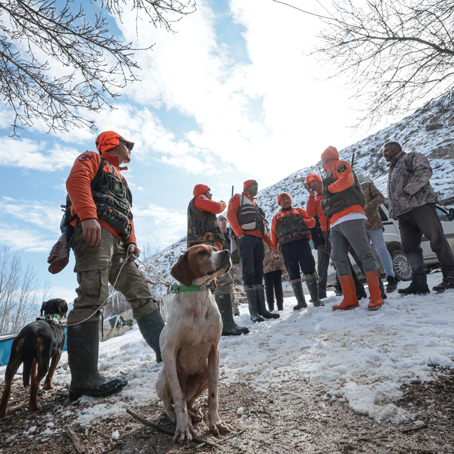 Malatya'da yaban domuzlarına yönelik sürek avı yapıldı