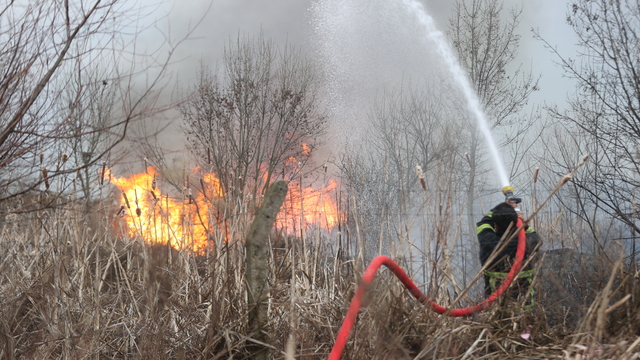 Kırklareli'nde otluk alandan ağaçlık bölgeye sıçrayan yangın söndürüldü
