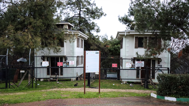 Bursa'nın engelli ve sahipsiz kedileri 18 yıldır "villa"da yaşıyor