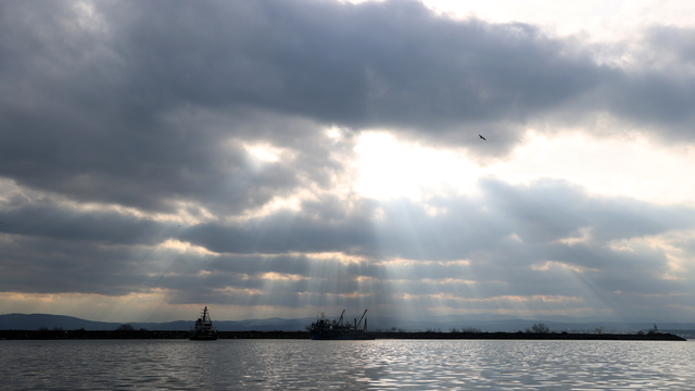 İğneada açıklarındaki hamsi bolluğu balıkçıların yüzünü güldürdü