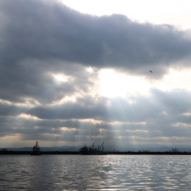 İğneada açıklarındaki hamsi bolluğu balıkçıların yüzünü güldürdü