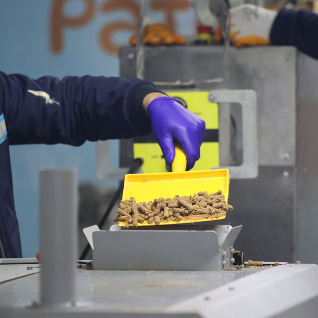 Erzurum'da atık yiyecekler, barınaktaki hayvanlar için mamaya dönüştürülüyo...