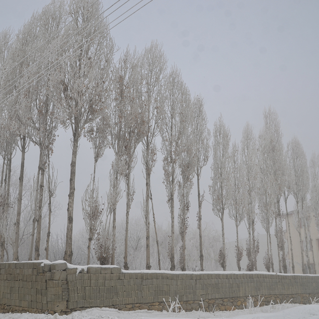 Muş ve Hakkari'de 5 yerleşim yerine ulaşım sağlanamıyor