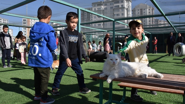Kayseri'deki Küçük Dostlar Kedi Kasabası 9 yılda yaklaşık 42 bin kişiyi ağırladı