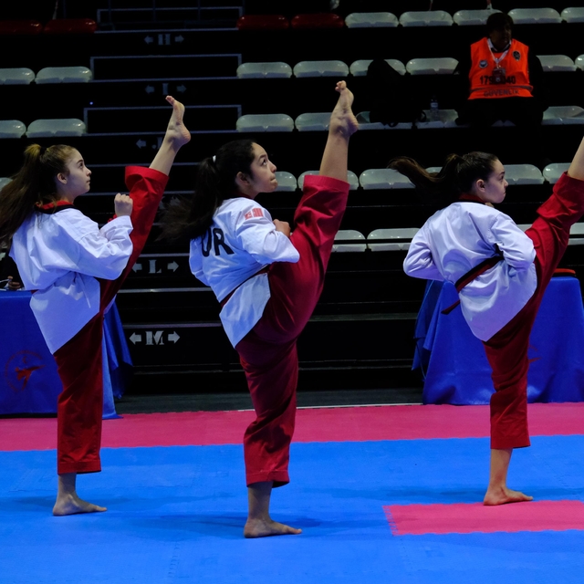 12. Uluslararası Türkiye Açık Tekvando Turnuvası, Antalya'da sona erdi