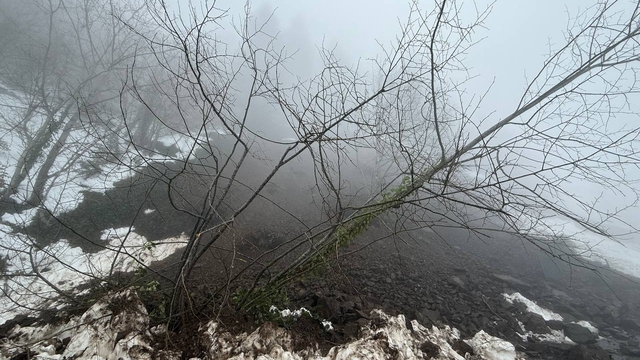 Heyelan nedeniyle kapanan Çam Dağı yolu yeniden ulaşıma açıldı