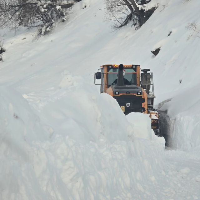 Muş ve Hakkari'de kapanan 5 yerleşim yerinin yolu ulaşıma açıldı