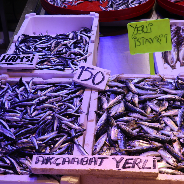 Trabzon'da hamsi ve istavritin kilogramı 150 liradan satılıyor