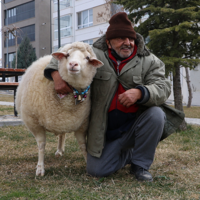 Kuzuyken aldı, 4 yıldır yanından ayrılmıyor