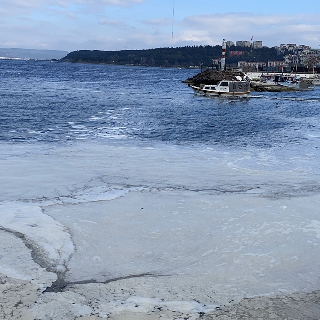 Prof. Dr. Murat Türkeş'ten müsilaj açıklaması: