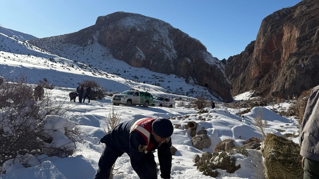 Niğde'de Aladağlar Milli Parkı'ndaki yaban keçilerine yem bırakıldı