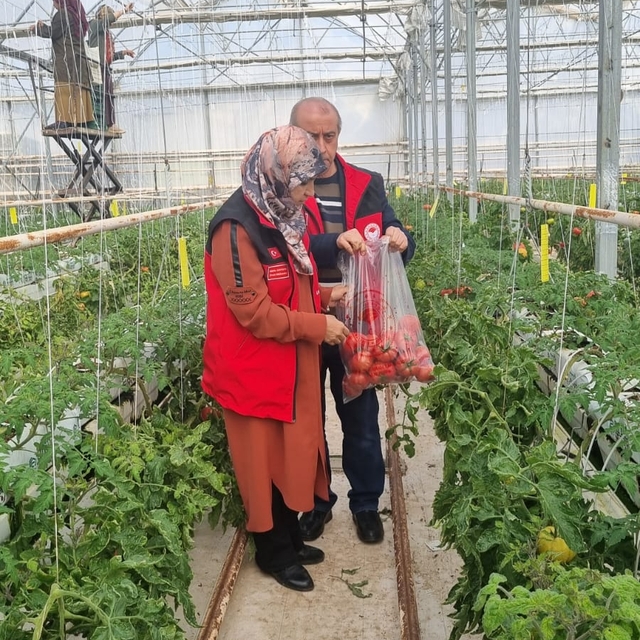 Şanlıurfa'da zirai ilaç kalıntısı denetimleri yapıldı