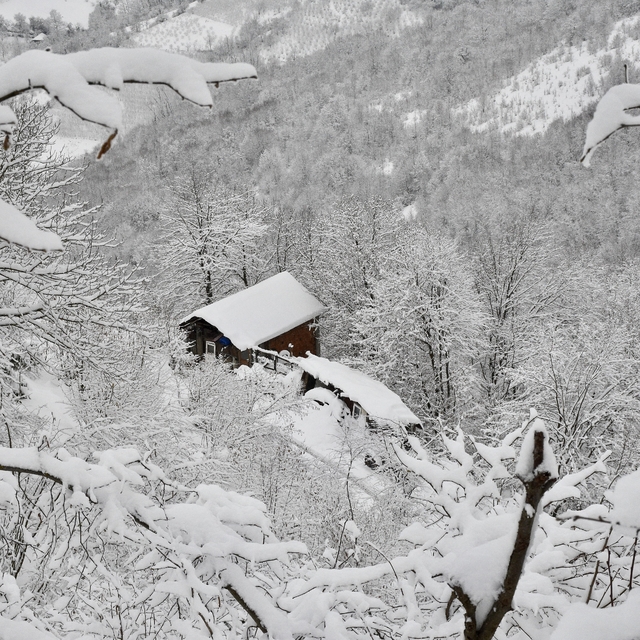 Samsun'un yüksek kesimleri kar yağışının ardından beyaza büründü