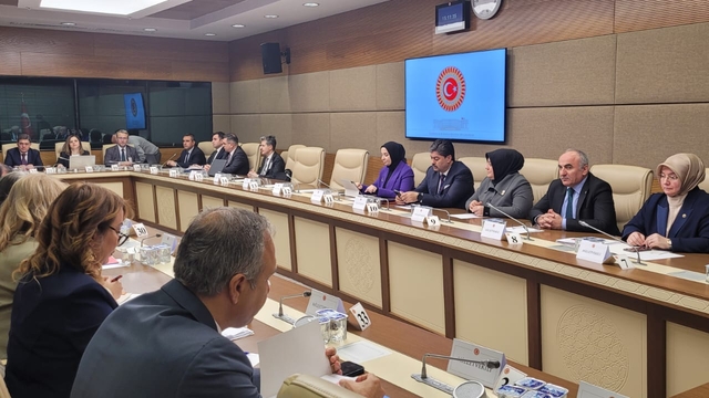 Gökkaya: Birden fazla suça kez sürüklenen çocuklara yönelik özel rehabilitasyon tedbirleri geliştirilecek