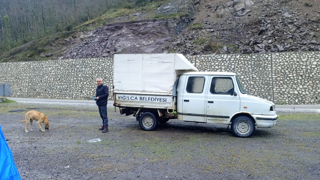 Yığılca'da sahipsiz köpekler barınağa teslim ediliyor