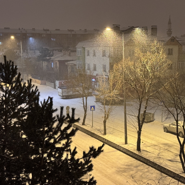 Erzurum ve Kars'ta kar yağışı etkili oluyor