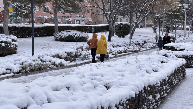 Niğde'de kar etkili oluyor