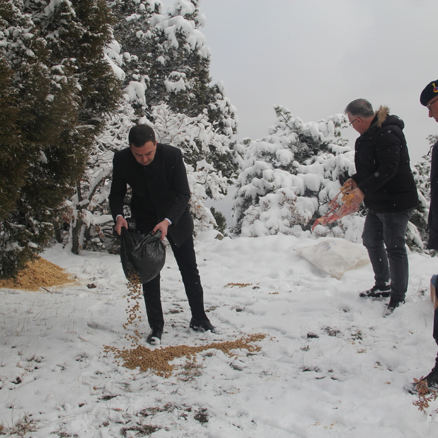 Çorum'da yaban hayvanları için doğaya yem ve ot bırakıldı